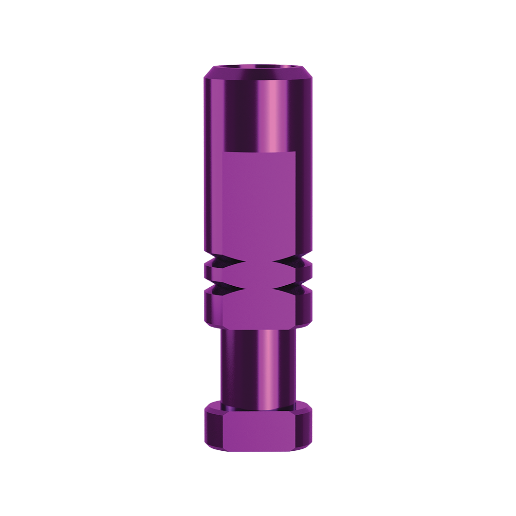 Couple lab analog - 1096