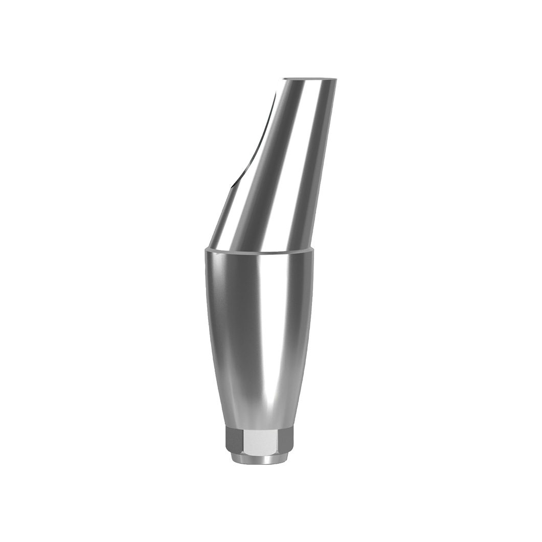 Couple angled abutment - 1446