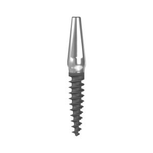 Dental Onebody Implant HSF